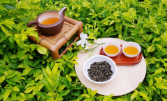 Thú vui thưởng trà - Nghệ thuật tao nhã