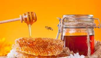 Mật ong kỳ diệu đến mức nào mà người ta yêu thích
