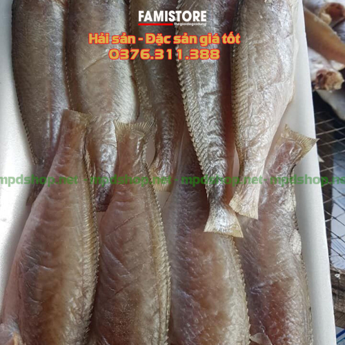 Cá Đù Một Nắng