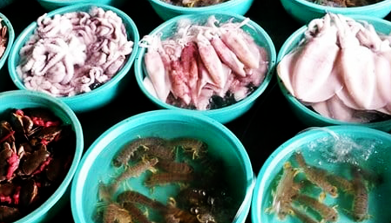 Hải Sản Tươi Ngon